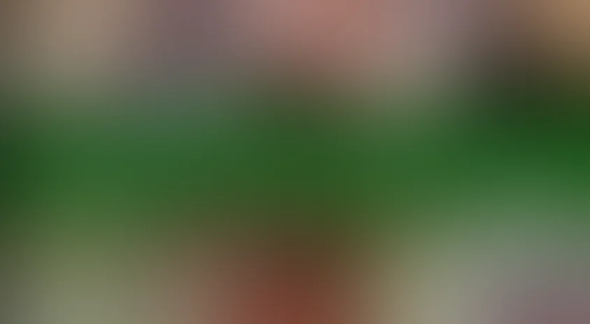 Роман выходного дня