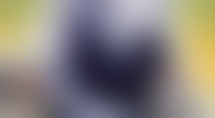 Багдадский вор