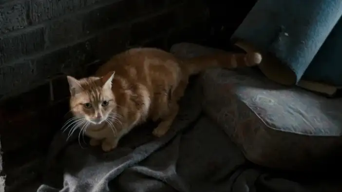 Фрагмент (русский язык)