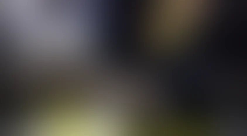 Эскадрон гусар летучих