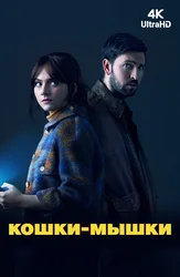 Кошки-мышки