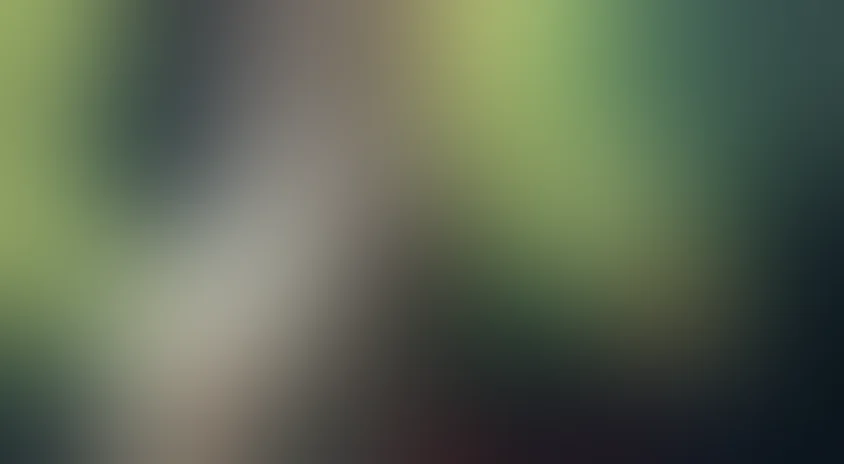 Лесная песня (на украинском языке)