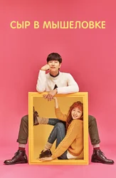 Сыр в мышеловке