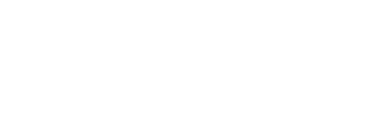 Двойная игра