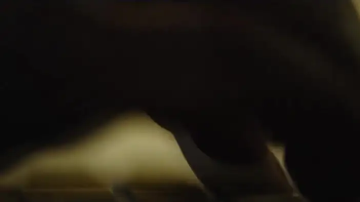 Трейлер (русский язык)