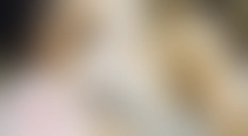 Честная игра