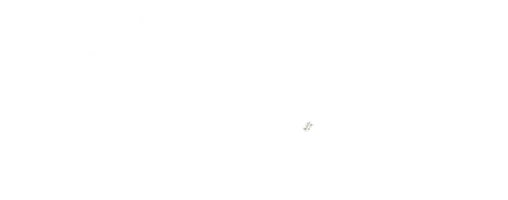 Музыкальная шкатулка. Вудсток 99: Мир, любовь и ярость
