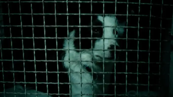 Трейлер 2 (английские субтитры)