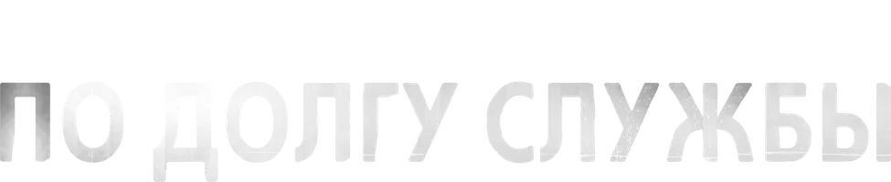 По долгу службы (сериал 2012)