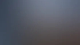 Сыщики районного масштаба 2: 9 апельсинов (2008)