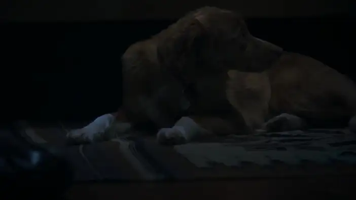 Трейлер (дублированный)