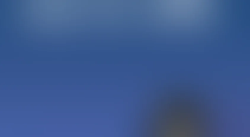 Кот, который гулял сам по себе