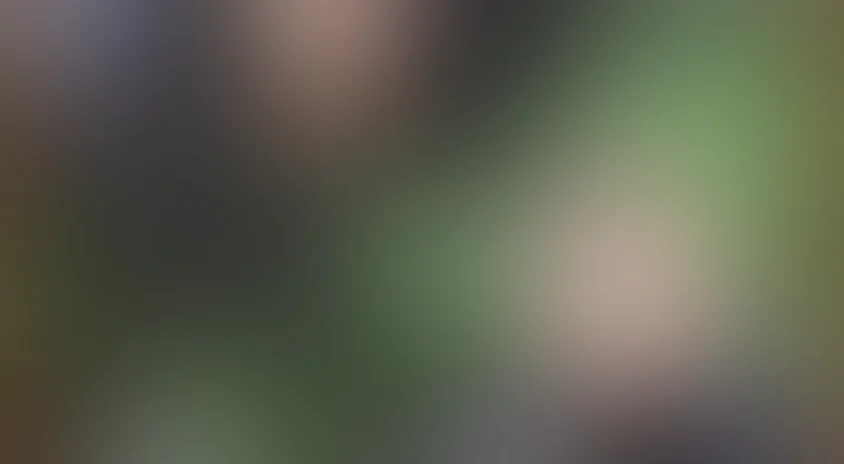 Просто Джексон