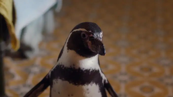 Трейлер (дублированный)