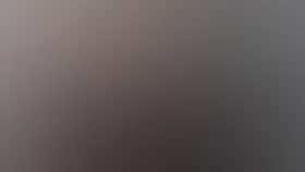 Ночной гость