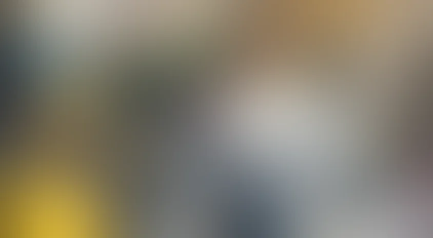 Барашек Шон (украинский язык)