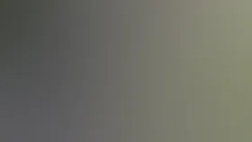 Молодожены