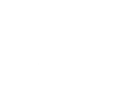 Фильм Женщина моей жизни