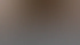 Капитан "Пилигрима"