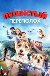 Пушистый переполох