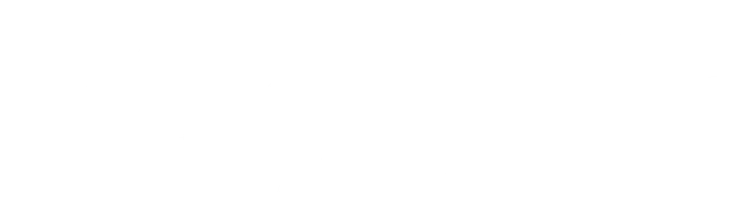 Сокровища партизанского леса