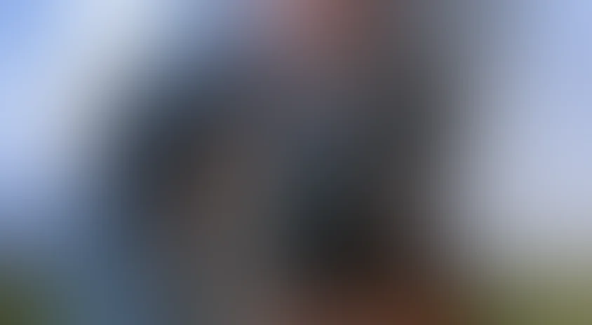 Остров сокровищ