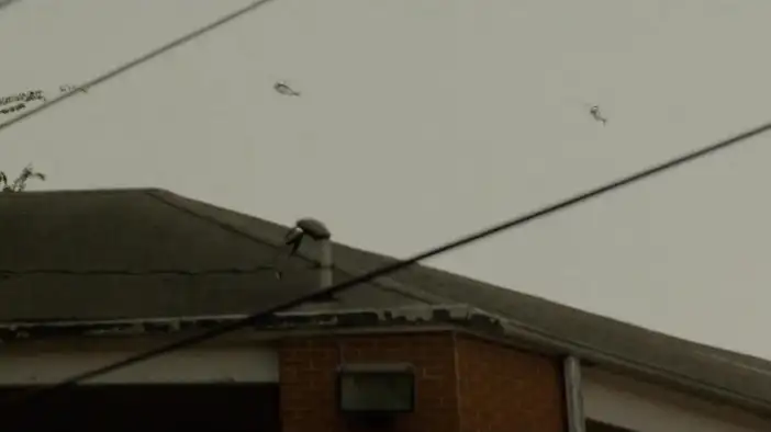 Фрагмент 6 (английский язык)