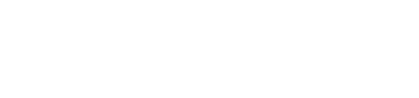 Пингвины Мадагаскара