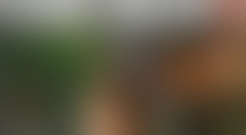 Телохранитель 2