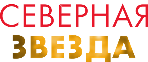 Северная звезда 1 сезон 5 серия