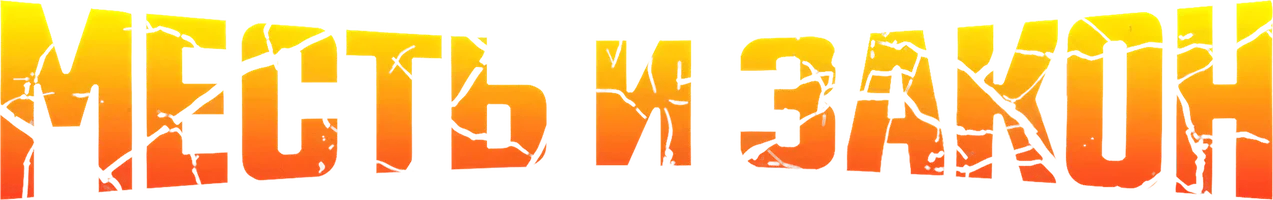 Месть и закон (фильм 1975)