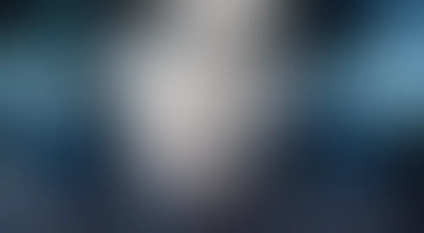 Все, что она хотела