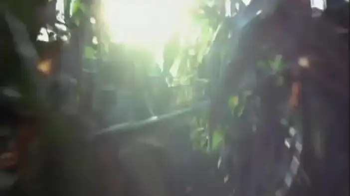 Трейлер (английский язык)