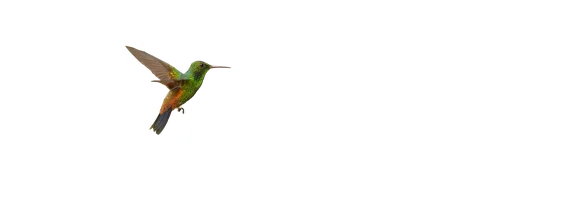 Фильм Лучшая жизнь смотреть онлайн