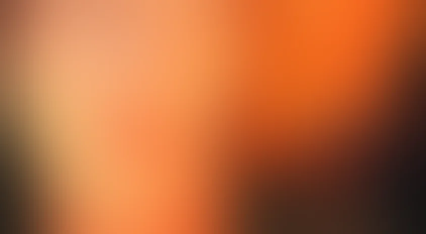 Амазонка в огне