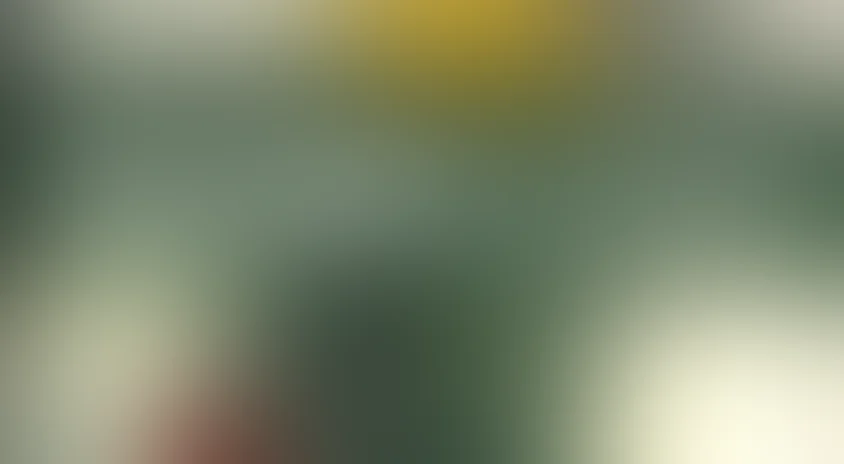 Приезжайте в гости