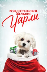 Рождественское желание Чарли