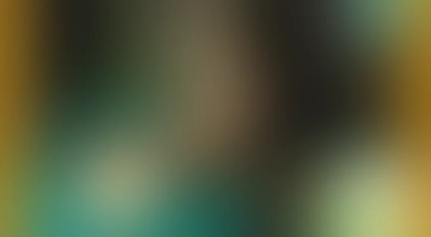 Медведь – липовая нога