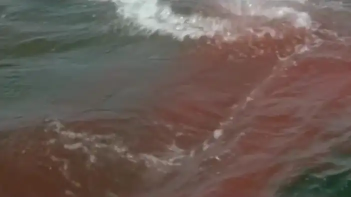 Фрагмент 2 (английский язык)