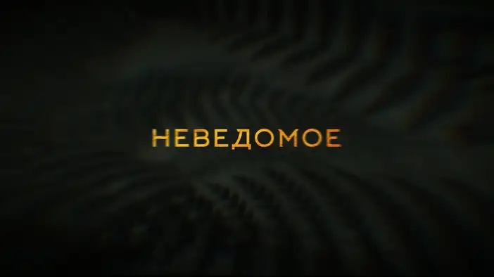 Трейлер (русский язык)