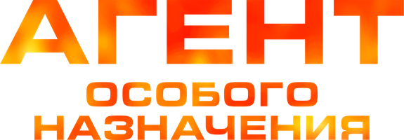 Агент особого назначения (Сериал, 2010)