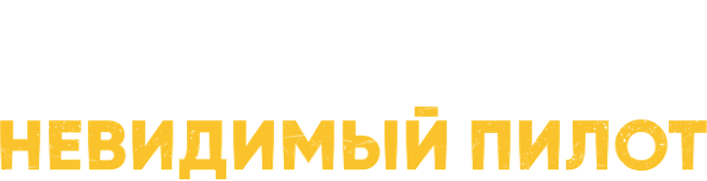 Невидимый пилот