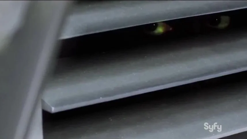 Спираль (Геном)