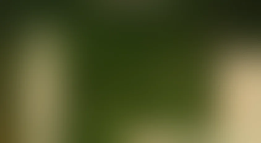 Начало неведомого века