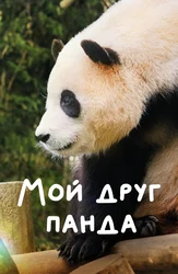 Osiyo qattiq seks porno video