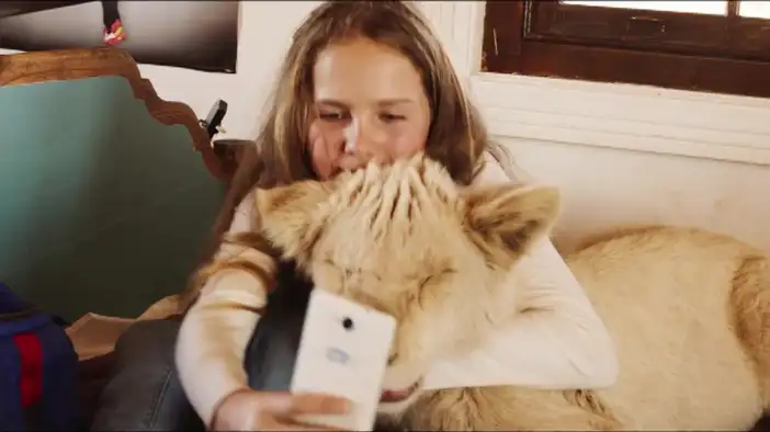 Трейлер (французский язык)