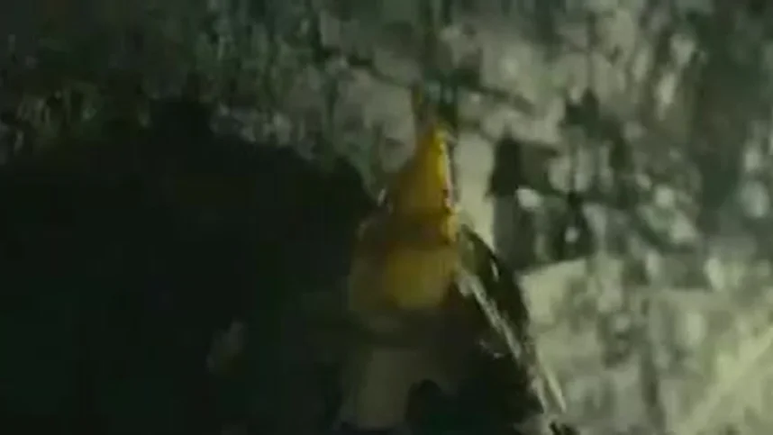 Жизнь как чудо