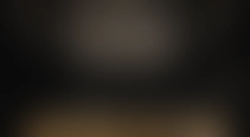 Легавый (США)