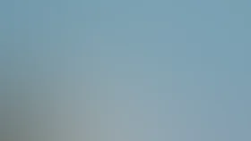 Чудаки навсегда