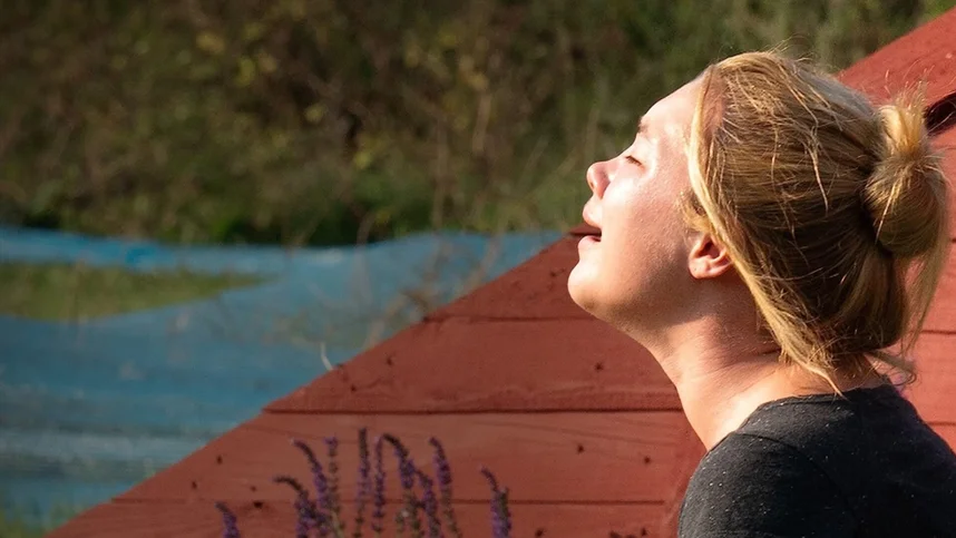 Солнцестояние